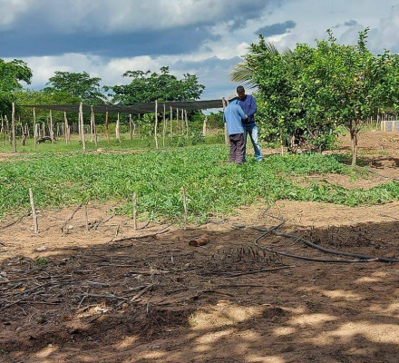 Agricultura familiar do Piauí ganha impulso com kits irrigação para os municípios